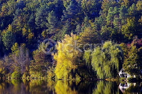 사람없음 JPG 포토 해외이미지 가을(계절) 강 나무 내추럴 노란색 물 보라색 숲 여행 유럽 잎 자연 초록색 폐허 풍경(경치) 프랑스 하늘 해외202007