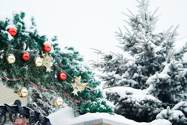 새로움 축하 사람없음 JPG 포토 해외이미지 12월 거리 겨울 계절 공 나무 백그라운드 빛 빨간색 소나무 야외 연도 외관 장면 장식 전나무 전등 전통 종 주택 축제 크리스마스 해외202007 화환 황금 휴가 흰색