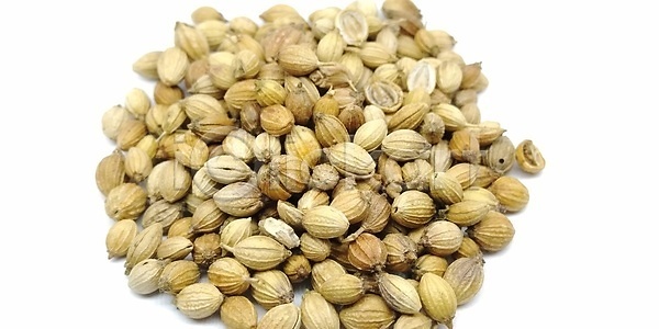 건조 매움 사람없음 인도인 JPG 포토 해외이미지 갈색 건강 고립 고수 낟알 날것 내추럴 노란색 닫기 많음 맛 목재 백그라운드 생식 시골 식물 쌓기 씨앗 아로마 양념 오브젝트 요리 유기농 음식 잎 자연 재료 조미료 질감 채소 해외202007 해외포토 향 향료 허브 흰색