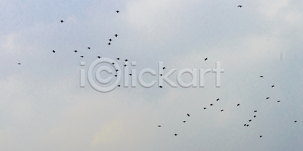 사회이슈 자유 환경보전 사람없음 JPG 실루엣 포토 하이앵글 해외이미지 계절 국립공원 기후변화 날씨 농촌 모션 바람 백그라운드 보호구역 일몰 조감도 조류 추상 탐험 태양 파란색 하늘 해외202007 해외포토 햇빛 환경