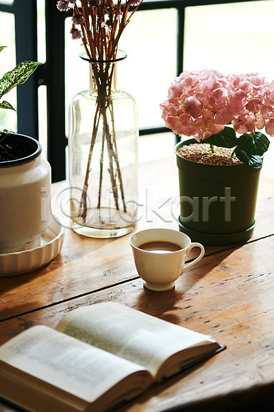 감성 사람없음 JPG 포토 수국 식물 실내 오브젝트 창가 책 책상 커피 커피잔 컬러풀 화분 화초