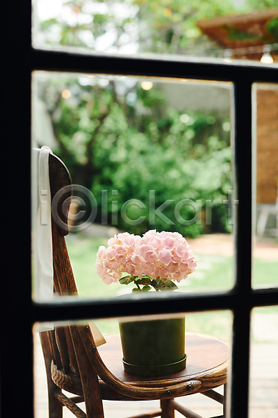 감성 사람없음 JPG 포토 꽃 수국 식물 야외 오브젝트 의자 주간 창가 화분