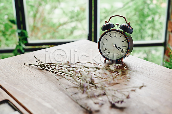 감성 사람없음 JPG 포토 꽃 드라이플라워 시계 식물 실내 오브젝트 창가 책상