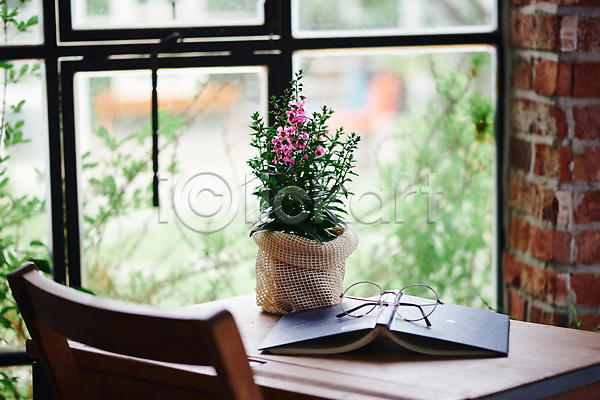 감성 사람없음 JPG 포토 식물 실내 안경 안젤로니아 오브젝트 창가 책 책상 화분 화초