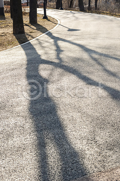 사람없음 JPG 포토 그림자 나무 나뭇가지 바닥 백그라운드 야외 오후 주간 햇빛
