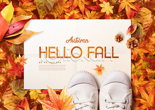사람없음 PSD 편집이미지 가을(계절) 가을풍경 낙엽 단풍 빨간색 솔방울 신발 엽서