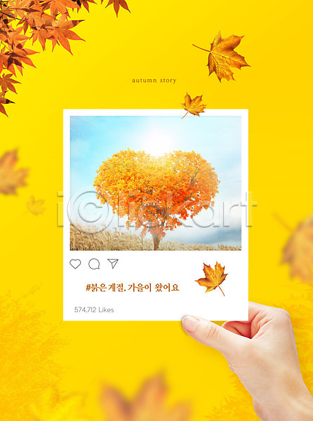 신체부위 PSD 편집이미지 가을(계절) 가을풍경 낙엽 노란색 단풍 들기 소셜네트워크 손 엽서 폴라로이드 하트