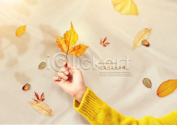 신체부위 PSD 편집이미지 가을(계절) 가을풍경 낙엽 노란색 단풍 도토리 들기 손 엽서 은행잎