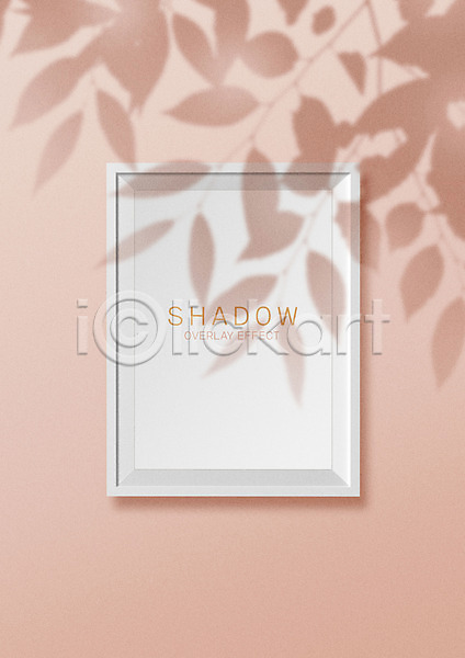 사람없음 PSD 편집이미지 공백 그림자 나뭇잎 백그라운드 벽 분홍색 빛 액자 카피스페이스 편집