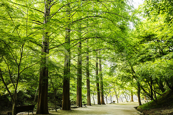 사람없음 JPG 포토 강천산 국내여행 나무 산 산책로 순창 야외 여름(계절) 여행 자연 전라북도 주간 초록색 풍경(경치) 한국