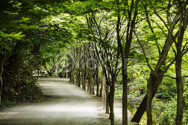 사람없음 JPG 포토 강천산 계곡 국내여행 나무 산 산책로 순창 야외 여름(계절) 여행 자연 전라북도 주간 초록색 풍경(경치) 한국