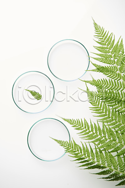사람없음 JPG 포토 하이앵글 샬레 스튜디오촬영 식물 실내 실험기구 오브젝트 잎 플랫레이 흰배경
