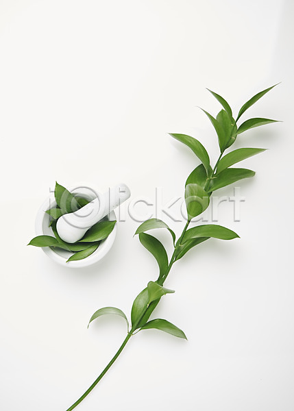사람없음 JPG 포토 막자사발 스튜디오촬영 식물 실내 실험기구 오브젝트 잎 흰배경
