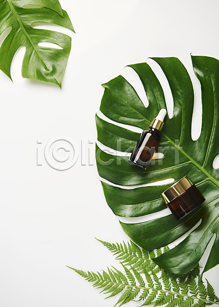 사람없음 JPG 포토 하이앵글 공병 몬스테라 뷰티 스튜디오촬영 식물 실내 오브젝트 잎 플랫레이 화장품 흰배경
