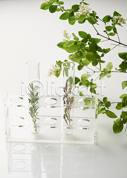 사람없음 JPG 포토 공병 꽃 뷰티 스튜디오촬영 시험관 식물 실내 실험기구 오브젝트 잎 화장품 흰배경