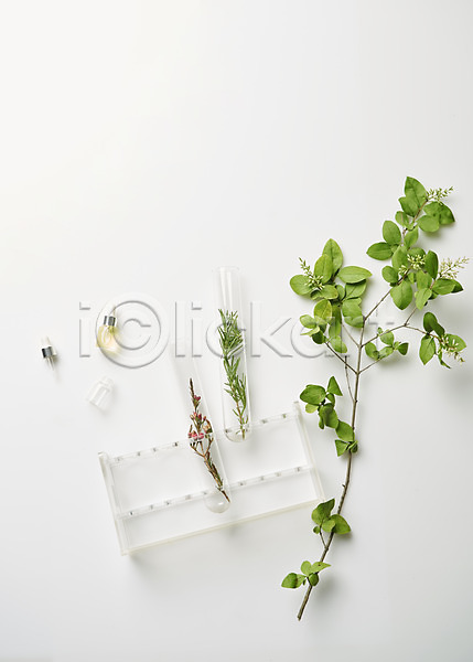 사람없음 JPG 포토 하이앵글 공병 꽃 뷰티 스튜디오촬영 시험관 식물 실내 실험기구 오브젝트 잎 플랫레이 화장품 흰배경