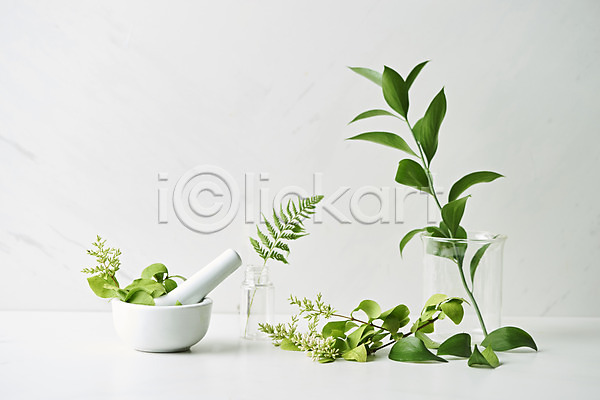 사람없음 JPG 포토 공병 막자사발 뷰티 비커 스튜디오촬영 식물 실내 오브젝트 잎 화장품 흰배경