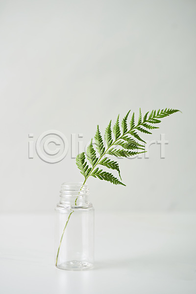 사람없음 JPG 근접촬영 포토 공병 뷰티 스튜디오촬영 식물 실내 오브젝트 잎 화장품 흰배경