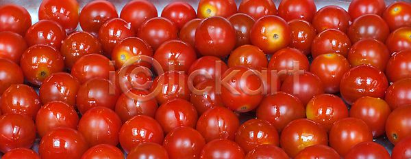 신선 사람없음 JPG 포토 해외이미지 건강 고립 과일 그룹 나뭇가지 날것 내추럴 농업 다이어트 맛 맛있는 먹기 백그라운드 비건 비타민 빨간색 숙성 식물 여름 오브젝트 요리 유기농 음식 잎 자연 작음 재료 정상 줄기 채소 채식주의자 체리 초록색 토마토 해외202008 해외포토 흰색