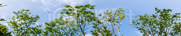 사람없음 JPG 포토 해외이미지 겨울 계절 공원 구름(자연) 나무 나뭇가지 내추럴 디자인 맑음 백그라운드 봄 빛 숲 야외 여름(계절) 잎 자연 정상 초록색 추상 큼 태양 파노라마 파란색 패턴 풍경(경치) 하늘 해외202008 환경