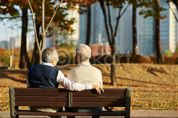 산책 우정 70대 노년 노인남자만 두명 한국인 JPG 뒷모습 포토 가을(계절) 공원 나무 단풍 대화 벤치 상반신 실버라이프 앉기 야외 은퇴 주간 취미 친구 할아버지