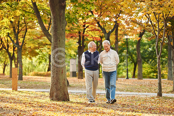 산책 우정 70대 노년 노인남자만 두명 한국인 JPG 앞모습 포토 가을(계절) 걷기 공원 나무 단풍 대화 미소(표정) 실버라이프 야외 웃음 은퇴 전신 주간 취미 친구 할아버지