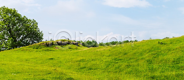 사람없음 JPG 포토 해외이미지 계절 공원 나무 내추럴 땅 밭 백그라운드 봄 빛 시골 아침 야외 여름 오픈 잎 자연 초록색 초원 태양 파노라마 파란색 풍경 하늘 해외202008 해외포토 환경