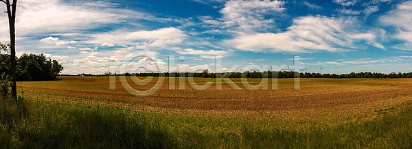 성장 신선 사람없음 JPG 포토 해외이미지 가로 계절 구름 내추럴 농경지 농업 농작물 농장 땅 맑음 모종 밭 밭일 봄 산업 세련 수평선 수확 시골 시리얼 식물 야외 언덕 여름 옥수수 유기농 자연 장면 전원 줄서기 초록색 초원 파노라마 파란색 풍경 하늘 해외202008 해외포토 햇빛 환경 흙