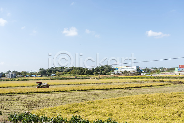 여유 사람없음 JPG 포토 가을(계절) 가을풍경 곡류 논 논산 벼 수확 쌀 야외 자연 주간 추수 풍경(경치) 한국