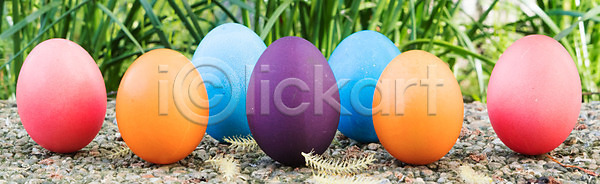 축하 행복 사람없음 어린이 JPG 포토 해외이미지 가족 검은색 계절 꽃 나무 노란색 목재 백그라운드 보라색 봄 부활절 부활절계란 사냥 서기 심볼 유기농 음식 이벤트 인형 작음 장식 전통 초록색 축제 카피스페이스 컬러풀 토끼 파란색 페인트 해외202008 해외포토 휴가