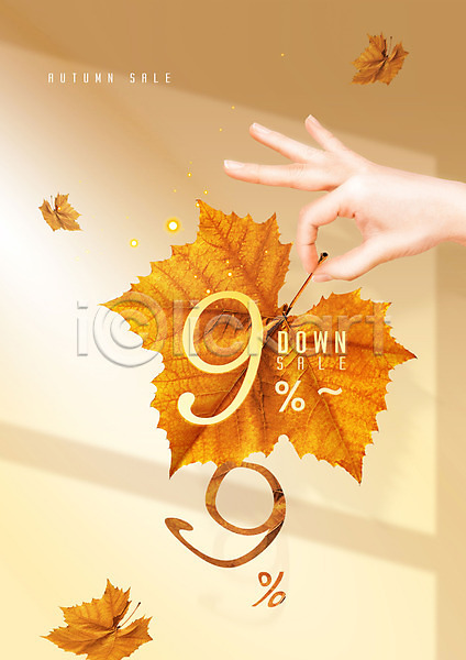 신체부위 PSD 편집이미지 가을(계절) 갈색 낙엽 세일 손 숫자 아이보리 잡기
