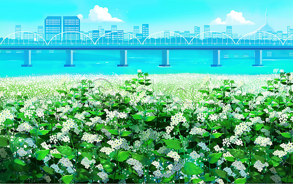 감성 사람없음 PSD 일러스트 꽃밭 다리(건축물) 메밀꽃 메밀밭 자연 풍경(경치) 하늘색 한강 한강다리