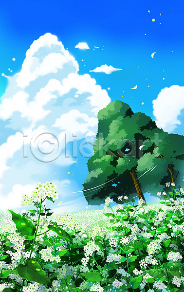 감성 사람없음 PSD 일러스트 구름(자연) 꽃밭 나무 메밀꽃 메밀밭 자연 파란색 풍경(경치) 하늘