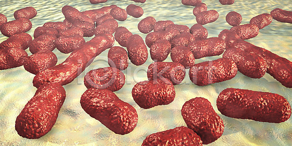 고통 사람 사람없음 3D JPG 일러스트 포토 해외이미지 감염 건강 공격 과학 닫기 미생물 박테리아 병원 생물학 세포 싸움 약 열 전염병 질병 해외202008 해외포토 현미경