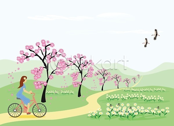 휴식 사람 성인 성인여자한명만 여자 한명 EPS 일러스트 해외이미지 공원 길 나무 라이프스타일 벚꽃 야외 자전거 전신 조류 초록색 풍경(경치) 해외202008