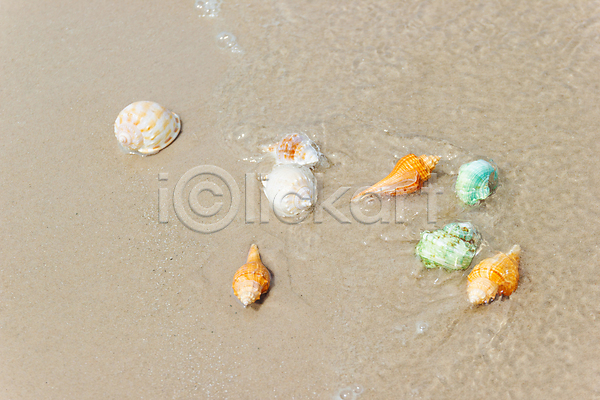 사람없음 JPG 포토 해외이미지 껍질 모래 물 바다 야외 여름(계절) 여행 오브젝트 자연 태국 텍스트 해외202008 휴가