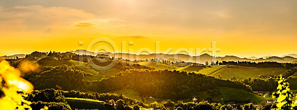 사람없음 JPG 포토 해외이미지 계절 내추럴 농업 농작물 농장 밭 밭일 백그라운드 세련 시골 식물 양조장 여름 여행 오스트리아 와인 유기농 유럽 일몰 잎 자연 점 줄서기 초록색 컨셉 태양 파노라마 포도 포도밭 풍경 해외202008 해외포토 환경 황금 휴가