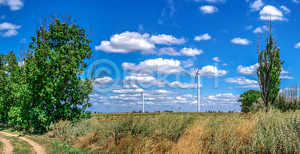 혁명 사람없음 JPG 포토 해외이미지 개발 구름(자연) 바람 밭 백그라운드 산업 생태계 생태학 야외 에너지 여름(계절) 우크라이나 장비 재활용 초록색 풍경(경치) 풍력에너지 풍차 프로펠러 하늘 해바라기 해외202008 환경 힘