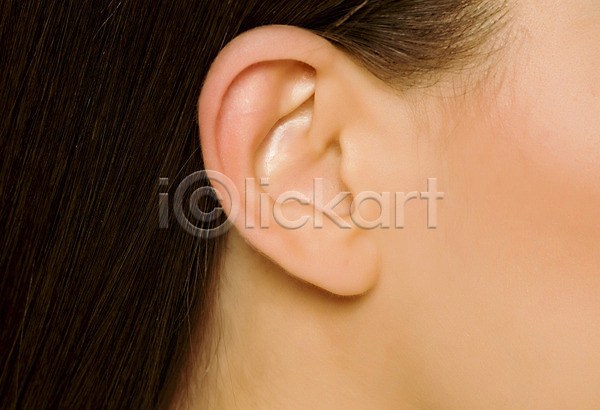 사람 여자 한명 JPG 옆모습 포토 해외이미지 건강 귀 닫기 듣기 머리 부분 소리 주목 피부 해부 해외202008