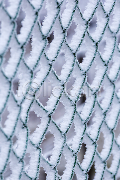 추위 사람없음 JPG 포토 해외이미지 12월 겨울 계절 날씨 내추럴 냉동 백그라운드 백발 서리 선 야외 얼음 울타리 자연 장면 크리스탈 풍경(경치) 해외202008 흰색