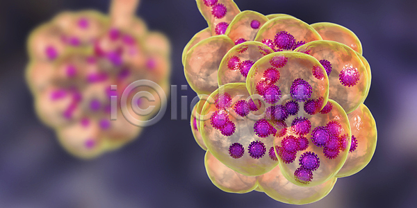 동양인 사람 사람없음 3D JPG 일러스트 포토 해외이미지 감염 건강 과학 글로벌 바이러스 백신 약 열 전염병 중국 질병 테라피 펼침 해외202008 해외포토 현미경 호흡기관
