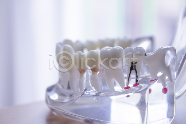 미래 사람없음 JPG 포토 해외이미지 거짓 건강 고립 닫기 돌봄 모델 백그라운드 시험 우주 치과 치과의사 치아 컨셉 크리스탈 투명 해부 해외202008 흰색