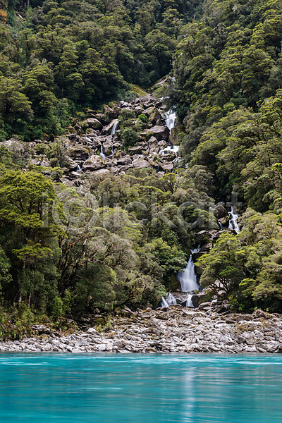 흐름 사람없음 JPG 포토 해외이미지 강 개울 공원 국립공원 나무 나뭇가지 뉴질랜드 달리기 맑음 물 세로 숲 야외 잎 자연 초록색 파란색 폭포 풍경(경치) 해외202008