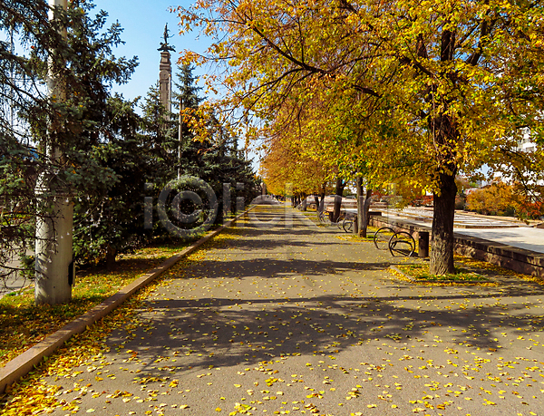 건조 사람없음 JPG 포토 해외이미지 10월 11월 9월 가을(계절) 거리 계절 공원 나무 내추럴 노란색 덮개 도시 백그라운드 식물 잎 자연 장면 초록색 추상 컬러풀 파란색 하늘 해외202008 황금