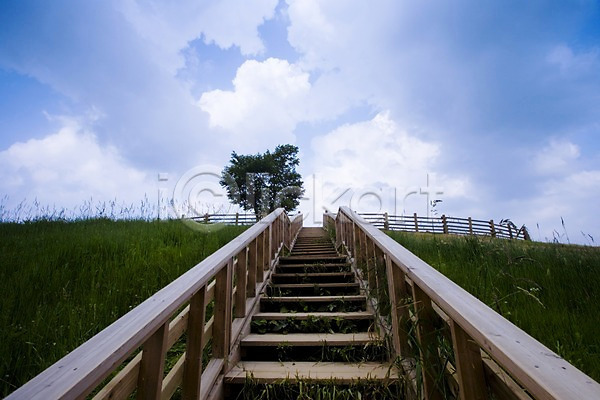 사람없음 JPG 로우앵글 포토 계단 구름(자연) 나무 백그라운드 식물 야외 자연 잔디 주간 초원(자연) 풍경(경치) 하늘