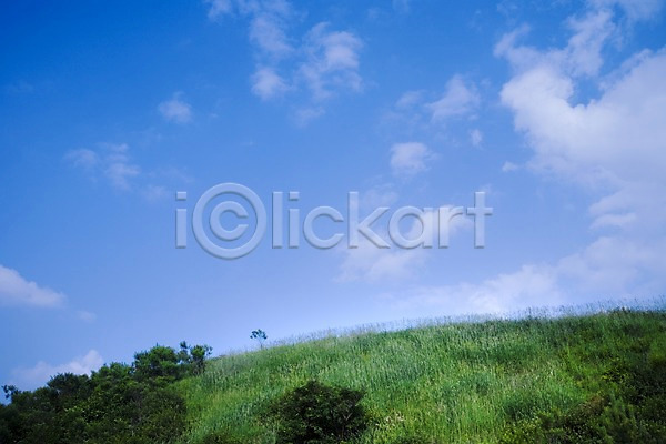 사람없음 JPG 로우앵글 포토 구름(자연) 나무 배경화면 백그라운드 식물 야외 언덕 자연 잔디 주간 초원(자연) 풀(식물) 풍경(경치) 하늘