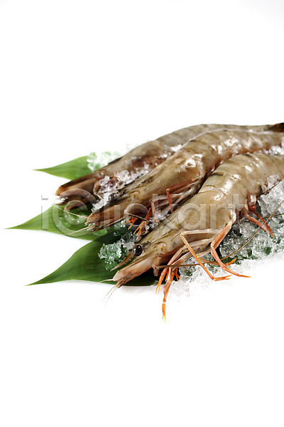 사람없음 JPG 포토 갑각류 나뭇잎 대하 새우 생새우 스튜디오촬영 식재료 얼음 요리 음식 잎 절지류 해산물