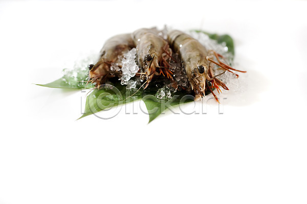사람없음 JPG 포토 갑각류 나뭇잎 대하 새우 생새우 스튜디오촬영 식재료 얼음 요리 음식 잎 절지류 해산물