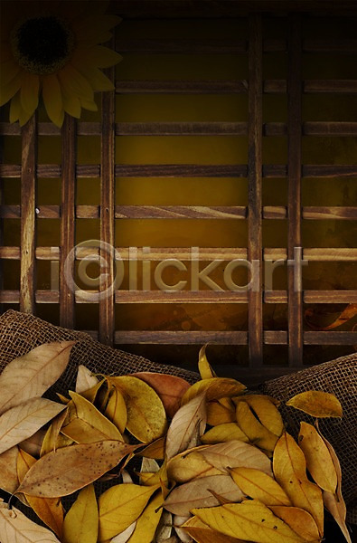 사람없음 PSD 편집이미지 가을(계절) 계절 공백 꽃 나무틀 나뭇잎 낙엽 백그라운드 세로 오브젝트 창틀 포장지 프레임