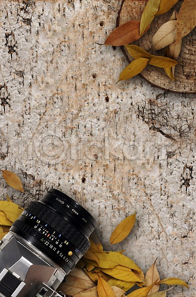 사람없음 PSD 편집이미지 가을(계절) 가전제품 계절 공백 나뭇잎 낙엽 무늬 백그라운드 세로 전자제품 카메라 프레임